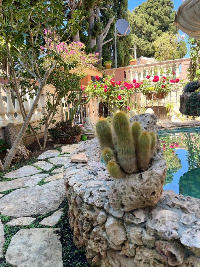 B&B Villa Regina 圣多米尼卡 外观 照片